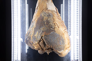 「ART CAMP IN MOMOSHIMA」アートベース百島