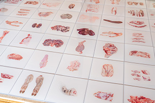 「ARTIST' FAIR KYOTO2023」渉成園