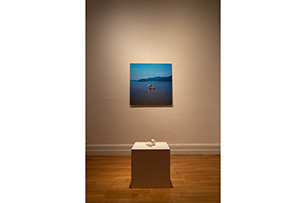 「ヴァーチャル・ボディ：メディアにおける存在と不在」東京藝術大学陳列館