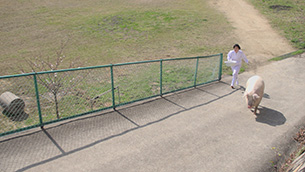 MEMENTO MOMO / Movie