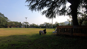 MEMENTO MOMO / Movie