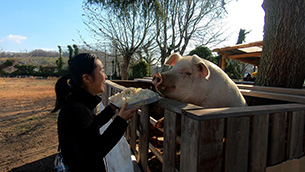 MEMENTO MOMO / Movie