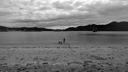 Memento Momo / Movie